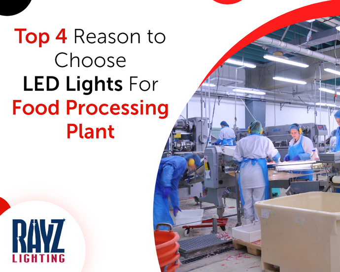 Why LED Lights are the Right Choice for Indoor Lighting of Your Food Processing Plant?