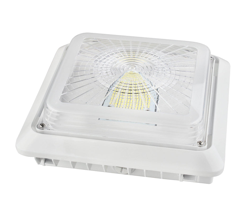 LED Canopy Light 00